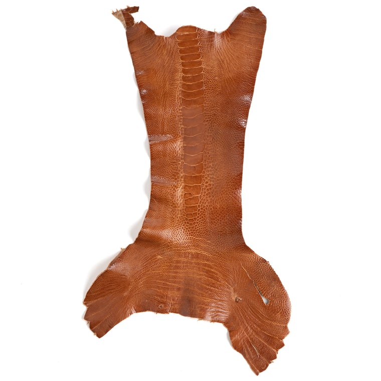 Ostrich Legs Leather Skin: Exotic Genuine Hides